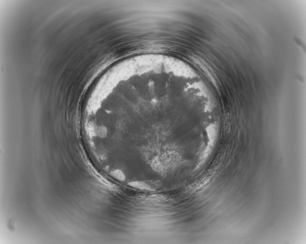 X0000098110851200804181449