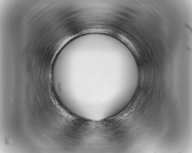 X0000098110852200804181449