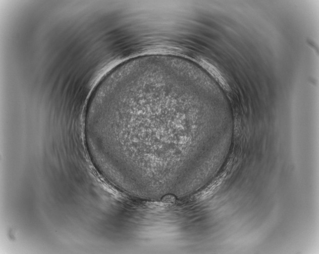 X0000098110854200804181449