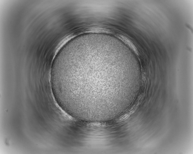 X0000098110855200804181449