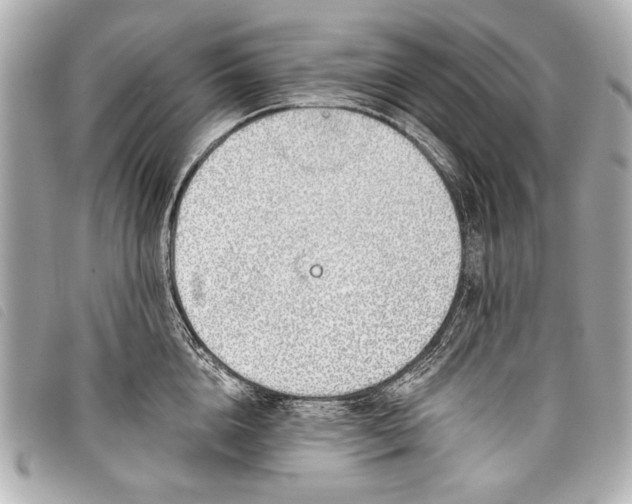 X0000098110856200804181449