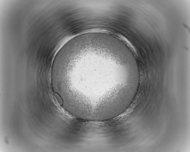 X0000098110860200804181450