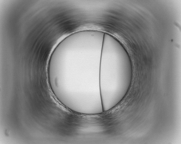 X0000098110864200804181450