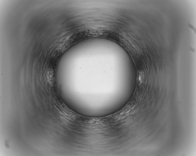 X0000098110867200804181449