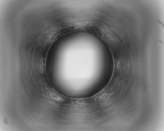 X0000098110868200804181449