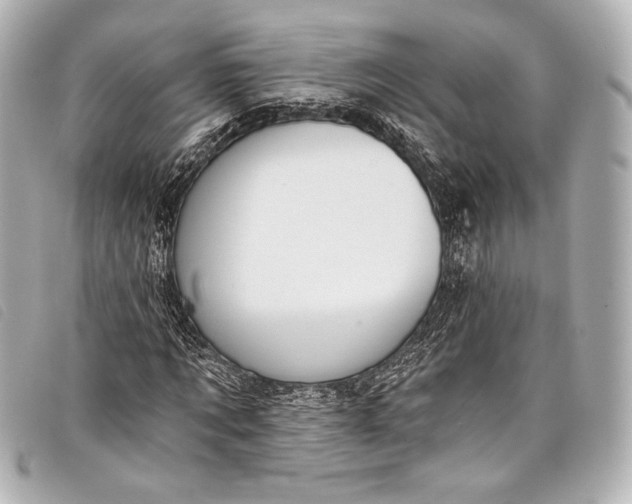X0000098110869200804181449