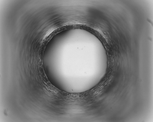 X0000098110871200804181449