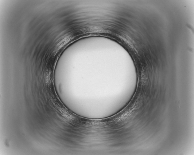 X0000098110873200804181449