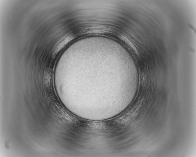 X0000098110874200804181449