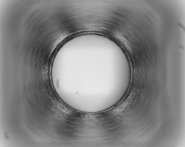 X0000098110875200804181449