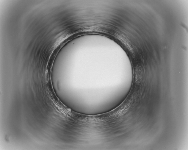 X0000098110876200804181449