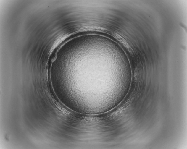X0000098110877200804181449