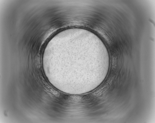 X0000098110878200804181449