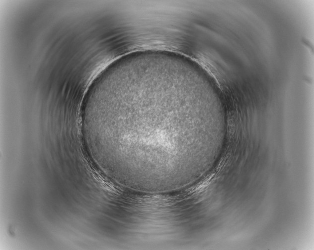 X0000098110879200804181448