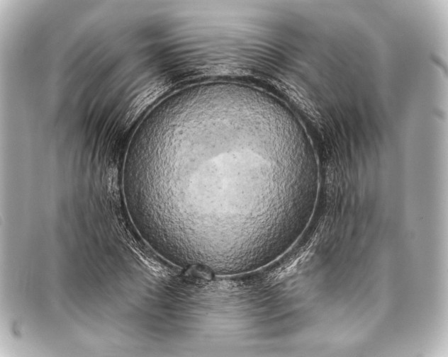 X0000098110881200804181448