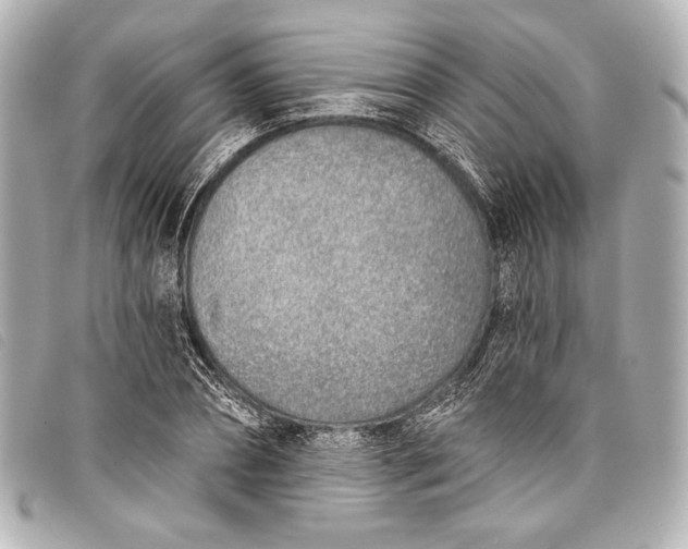 X0000098110882200804181448