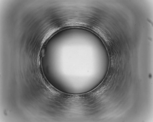 X0000098110885200804181448