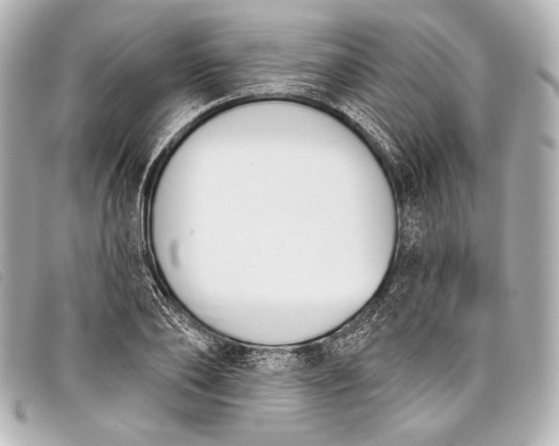 X0000098110886200804181448