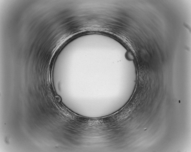 X0000098110887200804181448