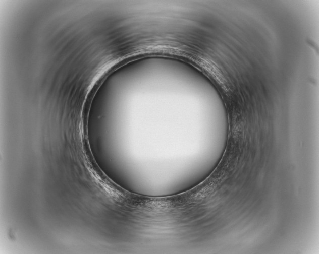 X0000098110888200804181448