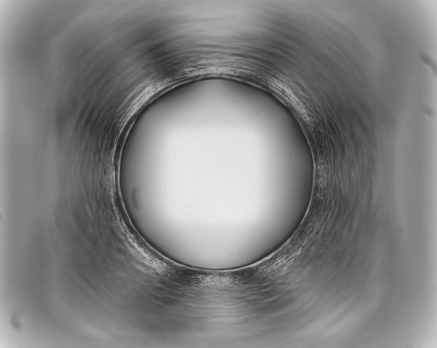 X0000098110890200804181448