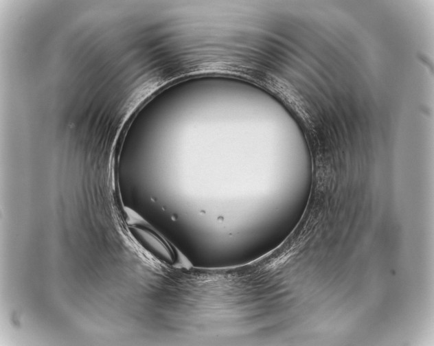 X0000098110892200804181448
