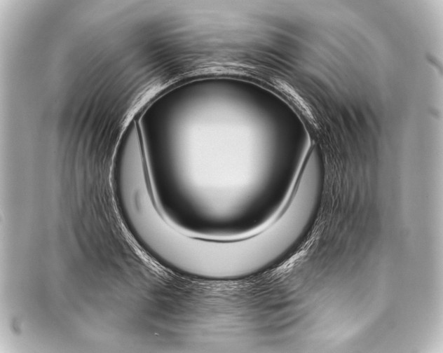 X0000098110893200804181448