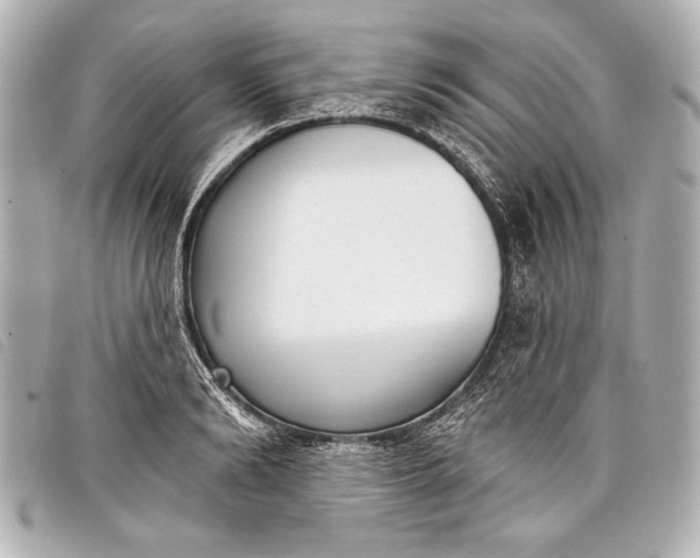X0000098110894200804181448
