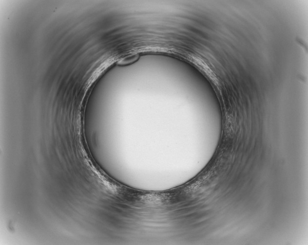 X0000098110898200804181448