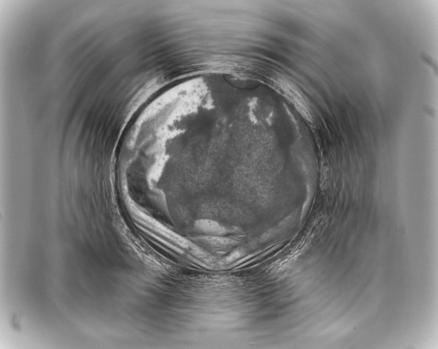 X0000098110899200804181448