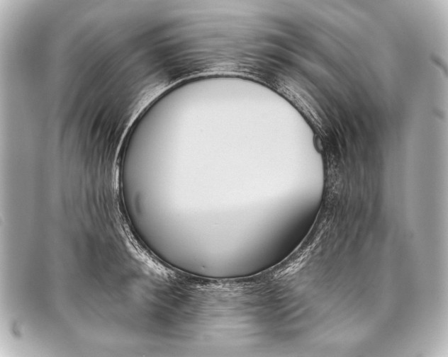 X0000098110900200804181448