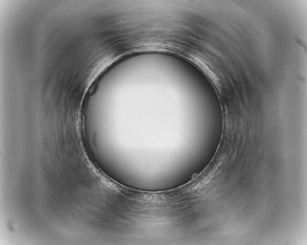 X0000098110901200804181448