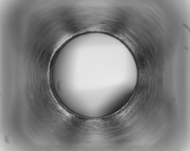 X0000098110902200804181448