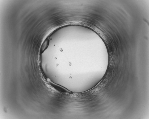 X0000098110904200804181448