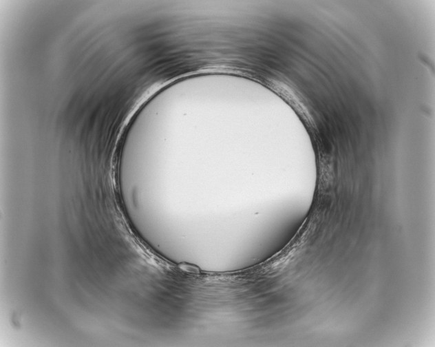 X0000098110908200804181448