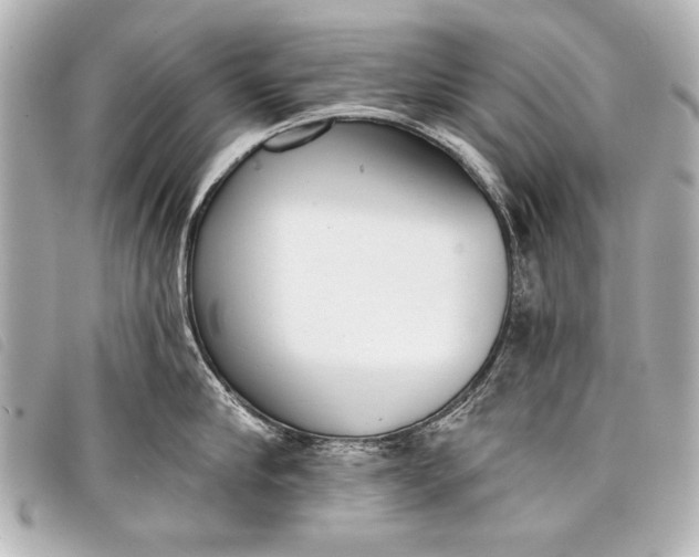 X0000098110910200804181448