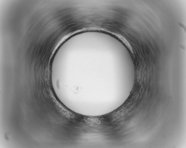 X0000098110911200804181448