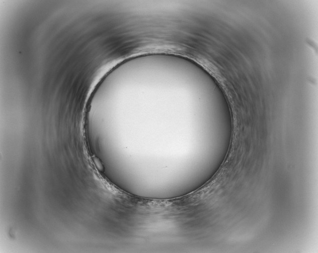 X0000098110912200804181448
