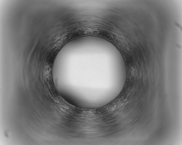 X0000098110914200804181447