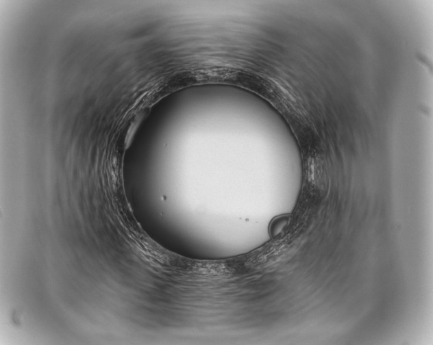 X0000098110915200804181447
