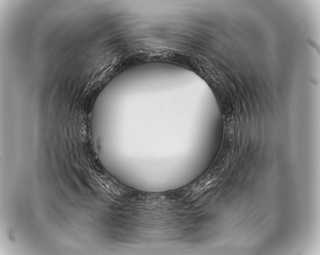 X0000098110916200804181447