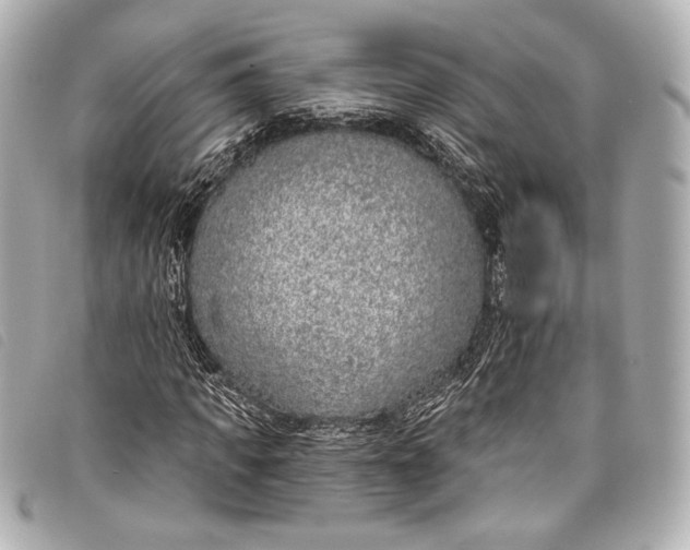 X0000098110917200804181447