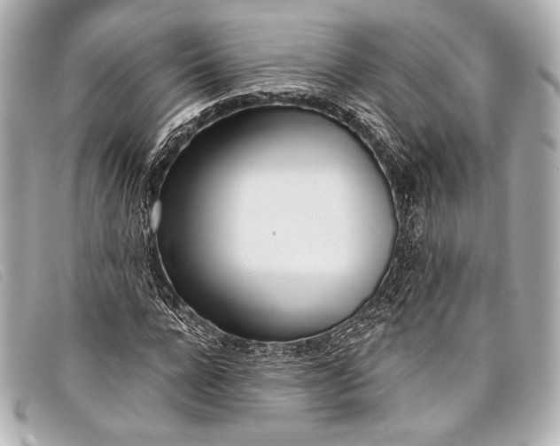 X0000098110920200804181447