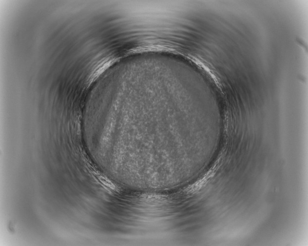 X0000098110921200804181447