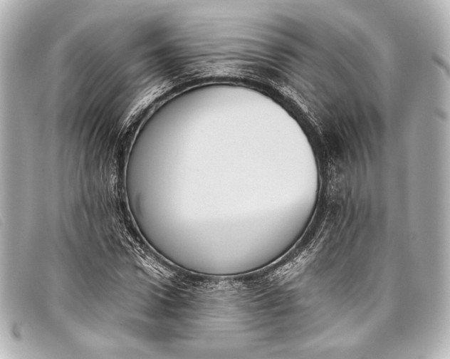 X0000098110922200804181447