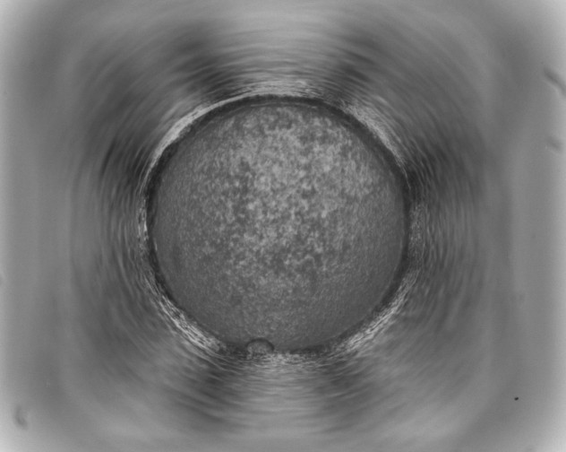 X0000098110923200804181447