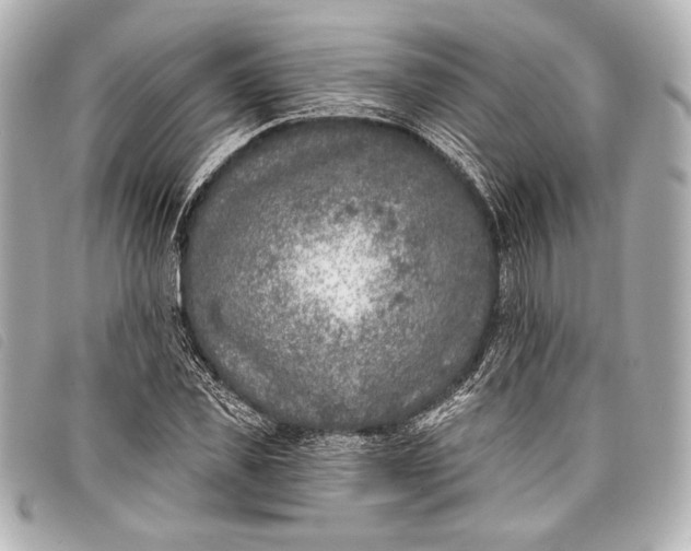 X0000098110925200804181447