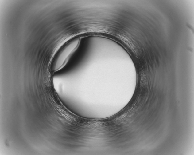 X0000098110926200804181447