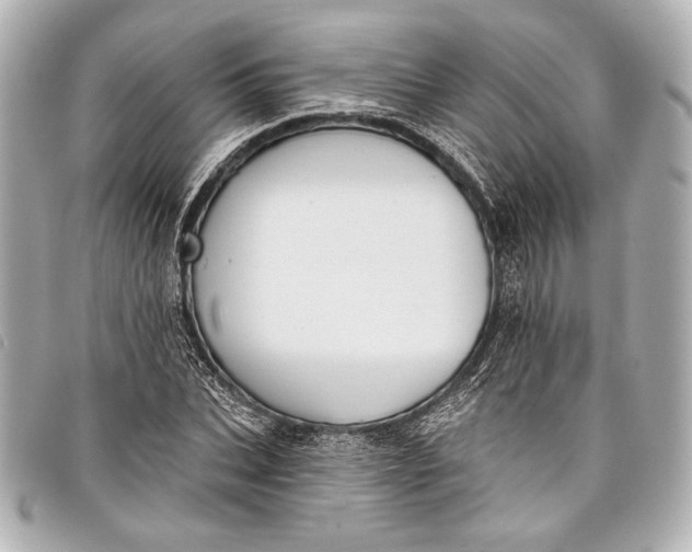 X0000098110927200804181447