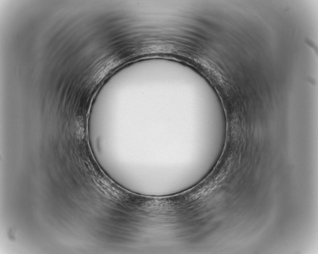 X0000098110929200804181447